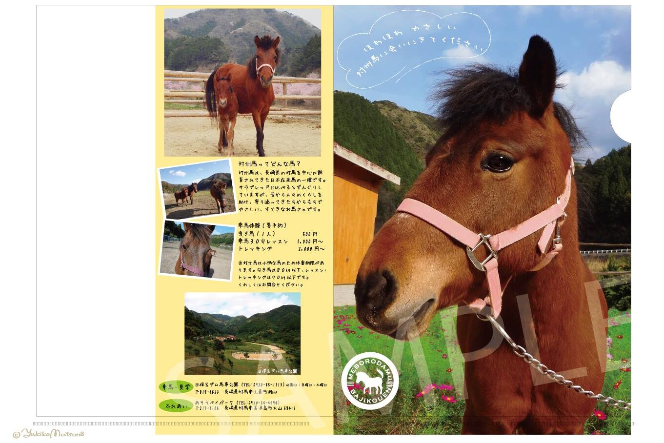 対州馬クリアファイル