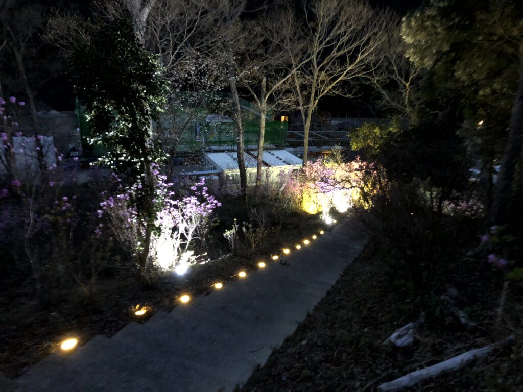 オートキャンプ場　ライトアップ