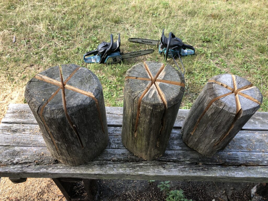 スウェーデントーチ